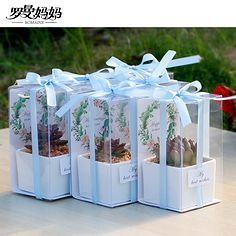 伴手礼 情感与文化的精致传递